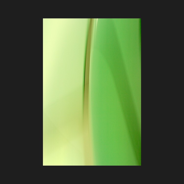 -01-009-Slitscreen