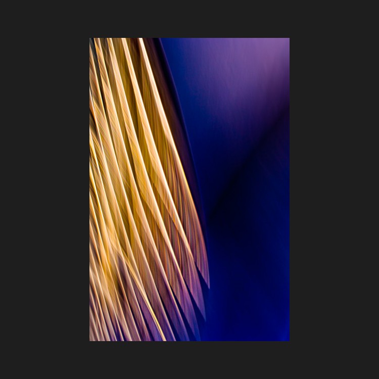 -03-0141-Indigo Night Flight