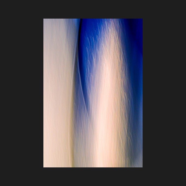 -06-1110-Lure