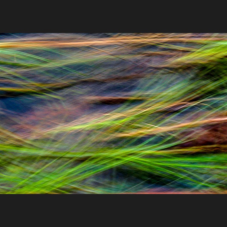 -32-2524-Floating Grasses Fluttering