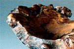 mel-ew-1a.jpg (13912 bytes)