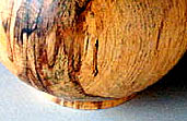 mel-ew-2b.jpg (17091 bytes)