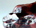 mel-ew-7a.jpg (13685 bytes)